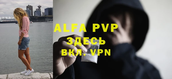 apvp Гусиноозёрск