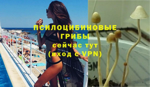 эйфоретик Струнино