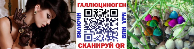 Псилоцибиновые грибы MAGIC MUSHROOMS  купить наркотик  Ирбит 